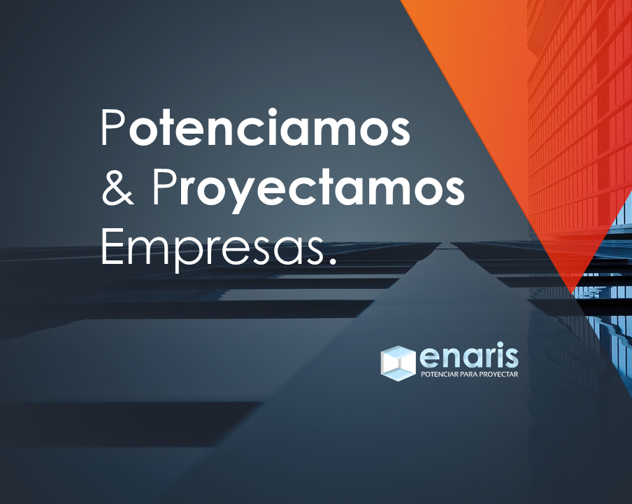 imagen que muestra el logo de la empresa ENARIS